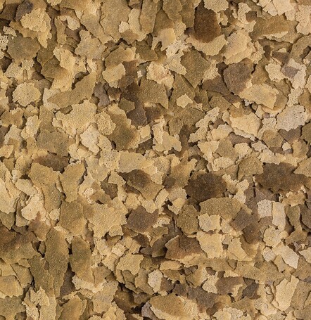 Tetra Goldfish Flakes - Lemezes aranyhaleleség