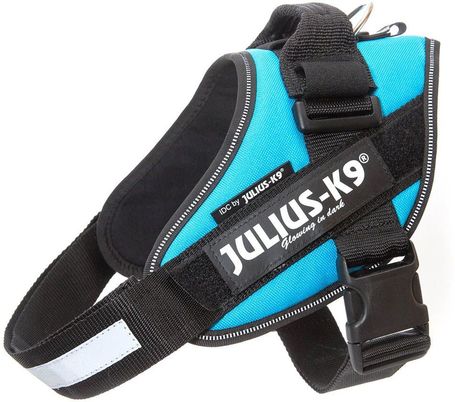 Julius-K9 IDC világoskék powerhám kutyáknak
