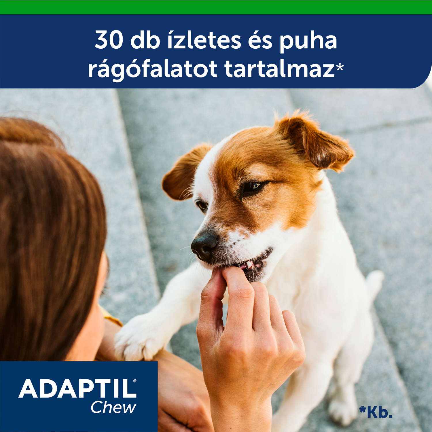 Recompensă masticabilă Adaptil Chew - zoom