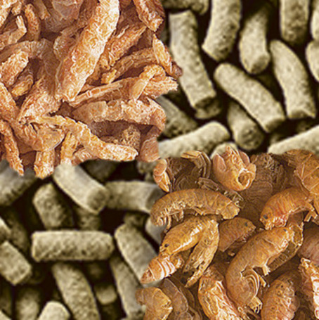 Tetra ReptoMin 3in1 Menu