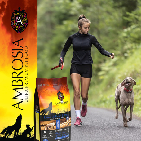 Ambrosia Dog Adult Grain Free Lamb & Fresh Salmon