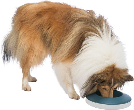 Trixie Slow Feeding Rocking Bowl l Imbolygó evéslassító tál kutyáknak