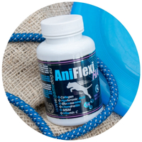 AniFlexi HMB pentru câinii care își dezvoltă mușchii