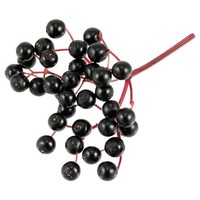 Biogance White Snow Shampoo | Fehér szőrű kutyák fürdetéséhez #6