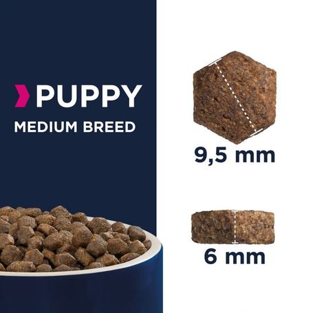 Eukanuba Puppy Medium | Táp közepes testméretű kölyökkutyáknak | Szuperprémium szárazeledel
