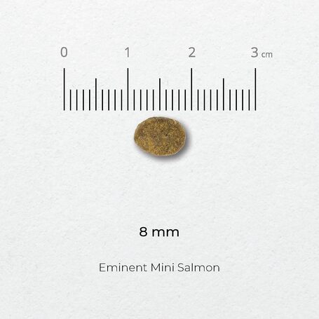 Eminent Mini Adult Salmon Grain Free