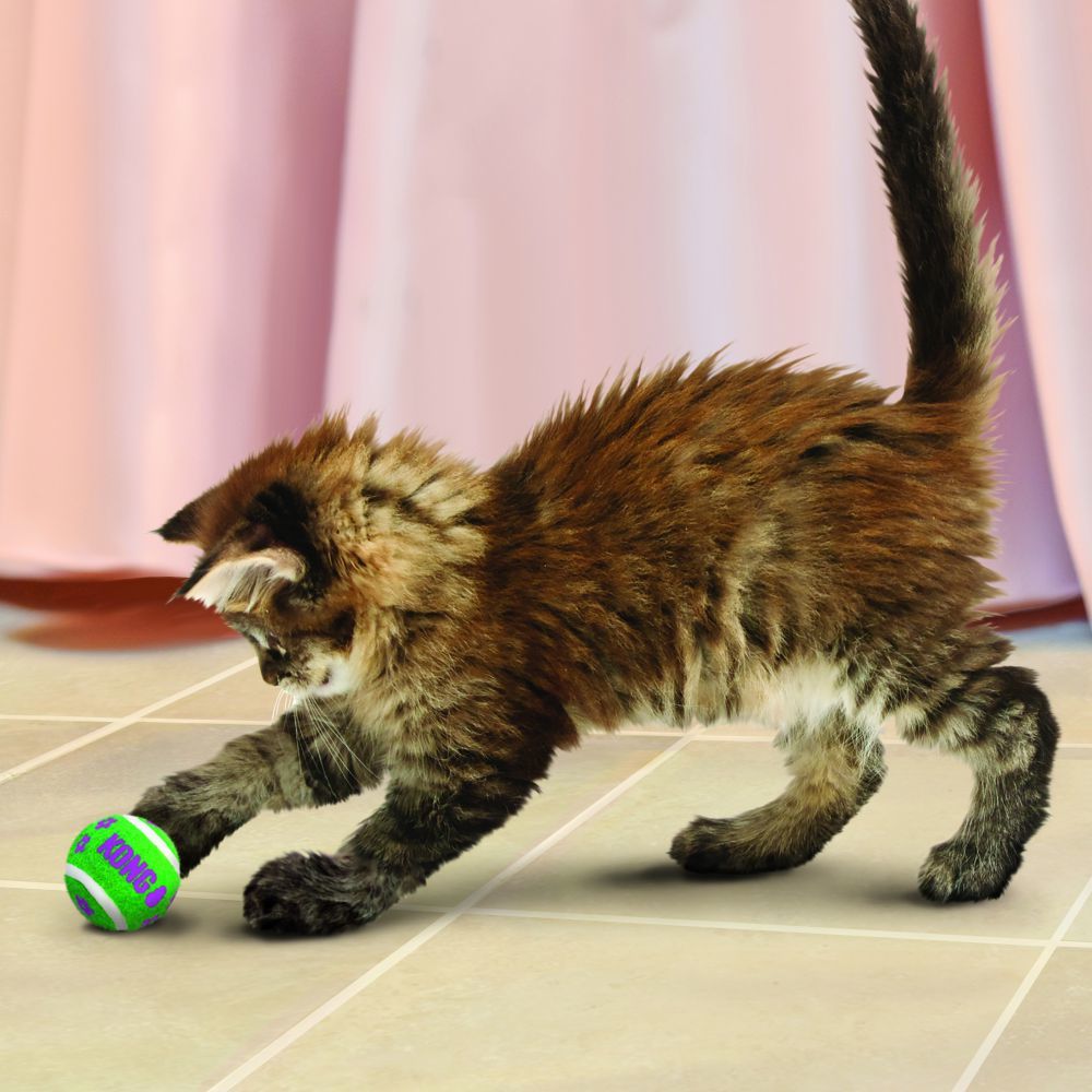 Kong Cat Active Tenni Balls joc pentru pisici cu sunet (set de 3 buc) - zoom