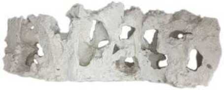 Magyar Szikla - Élethű műszikla akváriumi és terráriumi dekoráció