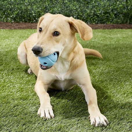 Chuckit! Whistler Balls - Fütyülős labdák kutyáknak