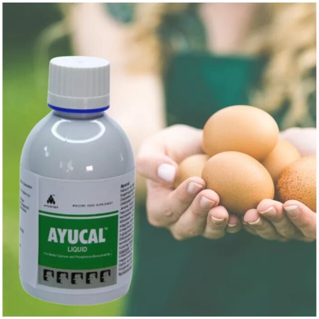 Ayucal kalcium-, foszfor- és tojáshéj-erősítő itatófolyadék - zoom