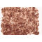 Tetra FreshDelica Brine Shrimps
