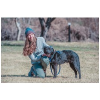 Ábel, 4 éves, 55 cm magas, kan #5