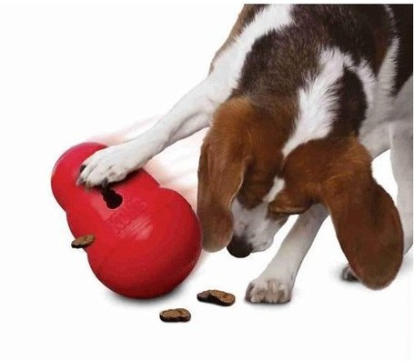 Kong Wobbler kutyajáték