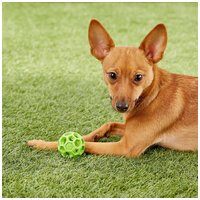 JW Hol-ee Roller labda kutyáknak #10