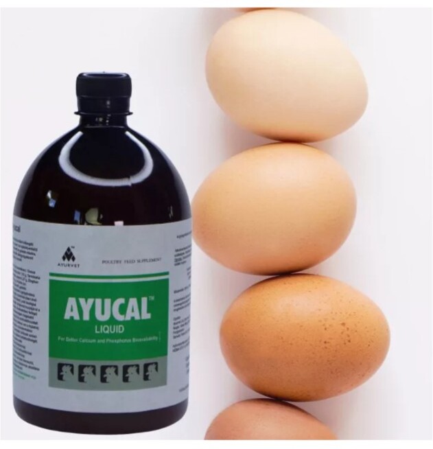 Ayucal kalcium-, foszfor- és tojáshéj-erősítő itatófolyadék - zoom