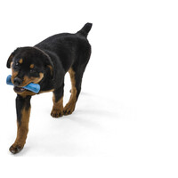 West Paw Seaflex Drifty - Csontot imitáló rágóka #14