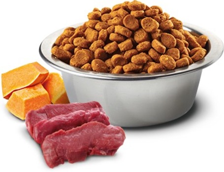 N&D Cat Pumpkin Grain Free szarvashússal, sütőtökkel és almával | Gabonamentes macskatáp