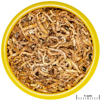 JBL ProNovo Fil liofilizált vörös szúnyog lárva #3