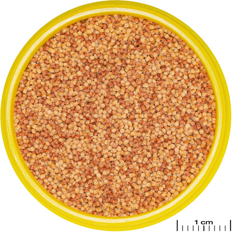 JBL ProNovo Color Grano színfokozó granulátum (Click)