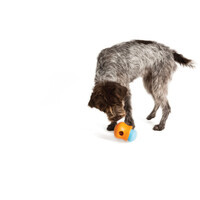 West Paw Toppl - Jutalomfalattal tölthető kutyajáték #17