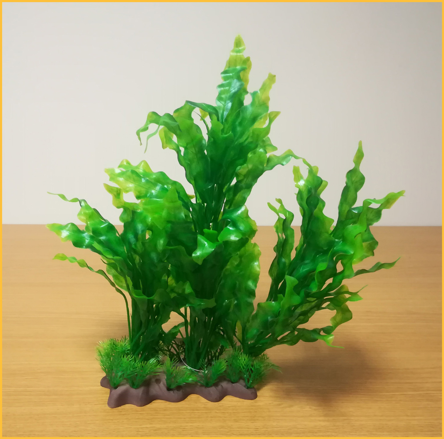 Plantă pentru acvariu cu bază, cu frunze lungi ondulate