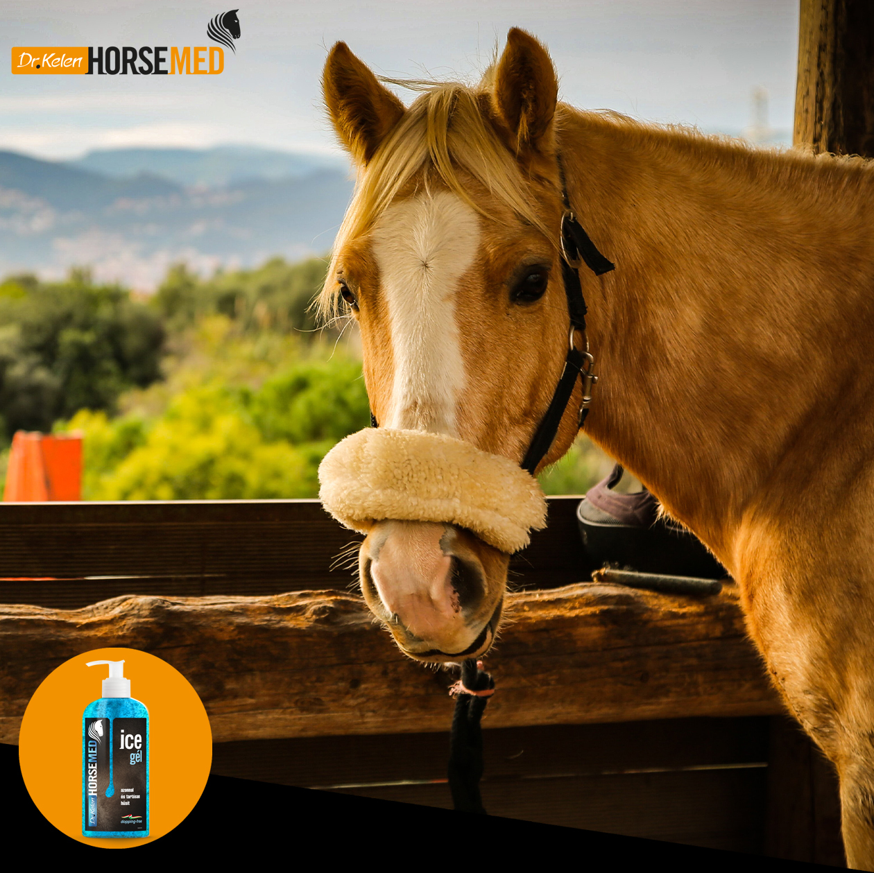 Horsemed Ice Gel - Gel medicinal cu efect de răcire pentru cai - zoom