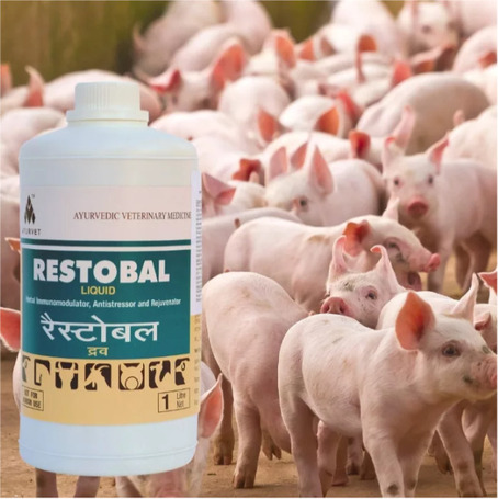 Restobal stressz elleni, immunerősítő itatófolyadék