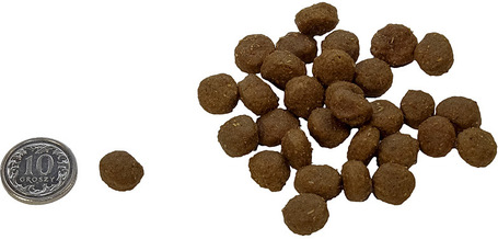 N&D Dog Adult Mini Lamb & Blueberry Ancestral Grain | Eledel kistestű felnőtt kutyáknak