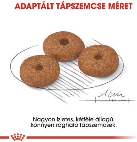 Royal Canin Mini Ageing 12+ | Kistestű idős kutya száraz táp