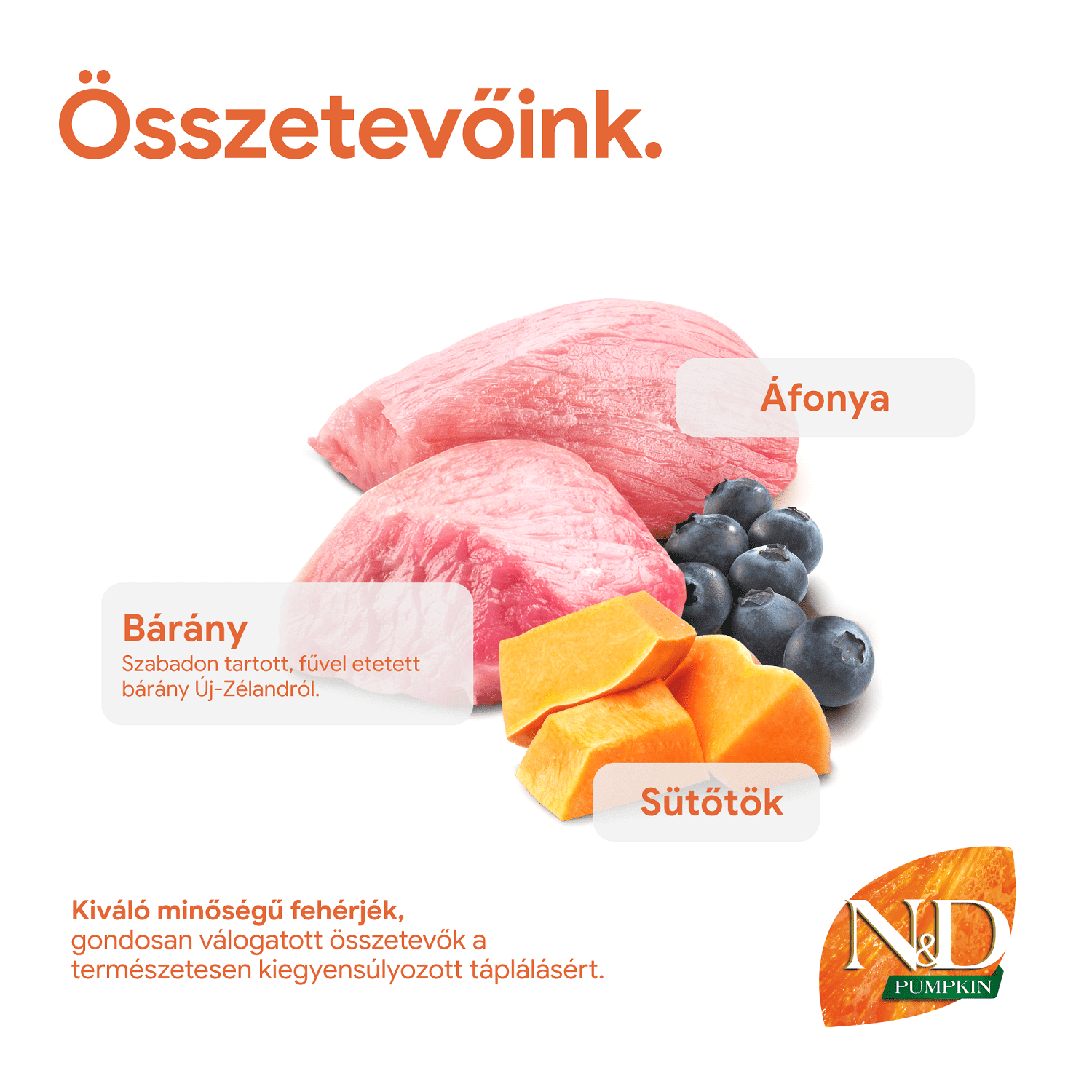 N&D Dog Grain Free Puppy Medium/Maxi sütőtök, bárány & áfonya szuperprémium kutyatáp