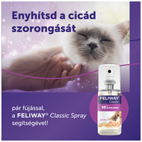 Feliway Classic nyugtató hatású spray macskáknak #8