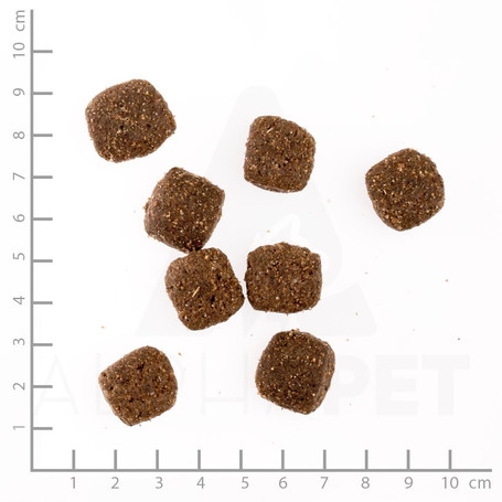 Belcando Adult Active