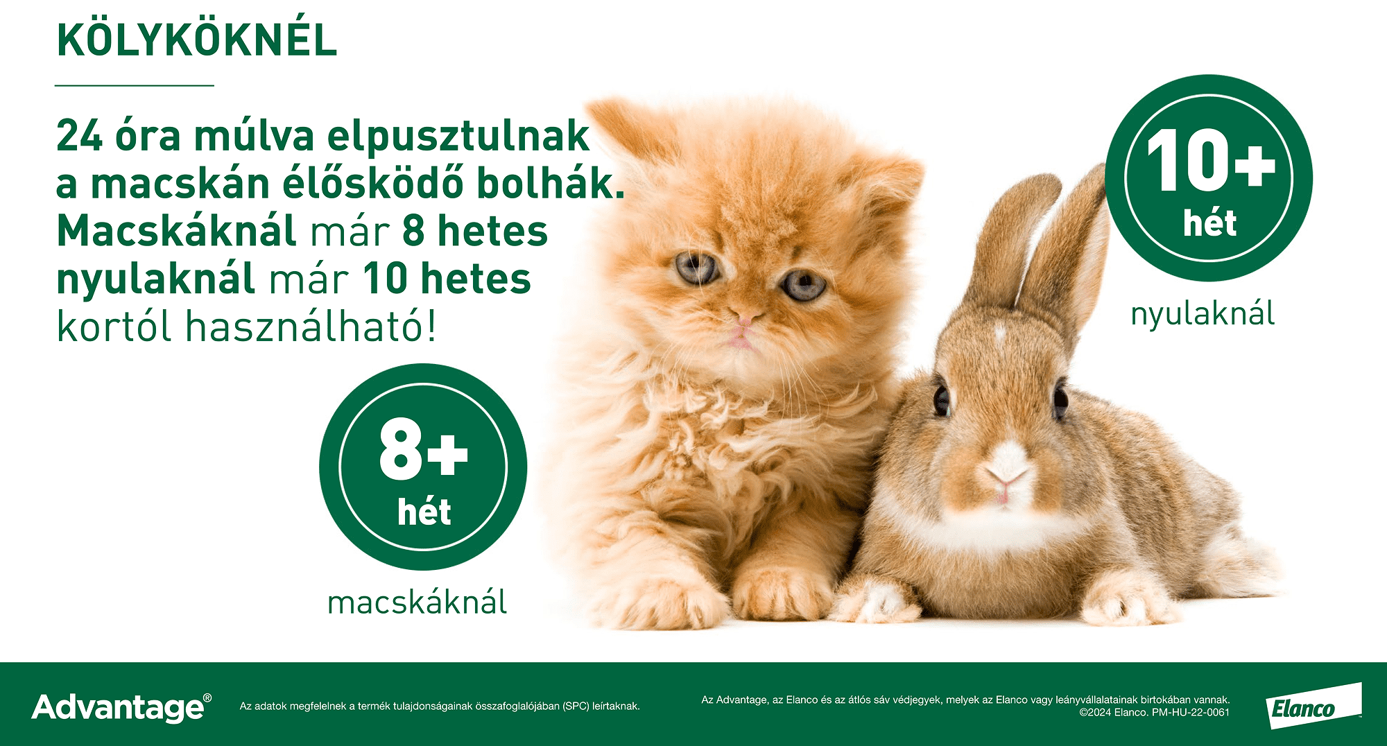 Advantage 80 spot on macskáknak és nyulaknak
