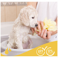 Beaphar sampon kamillával kölyökkutyáknak #7