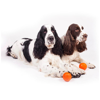 Liker narancssárga labda kutyáknak #8