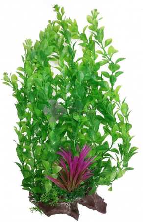 Magas akváriumi műnövény sűrű zöld levelekkel, lila tengeri fűvel az alján