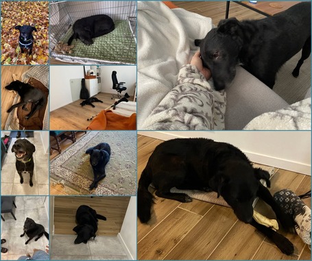 Ábel, 4 éves, 55 cm magas, kan