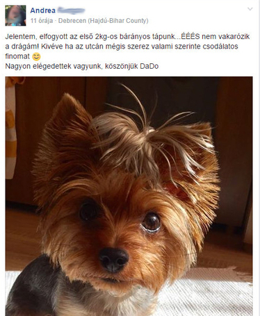 Dado Hypoallergenic Puppy Mini Fish & Rice | Hipoallergén halas táp kistestű kölyökkutyáknak