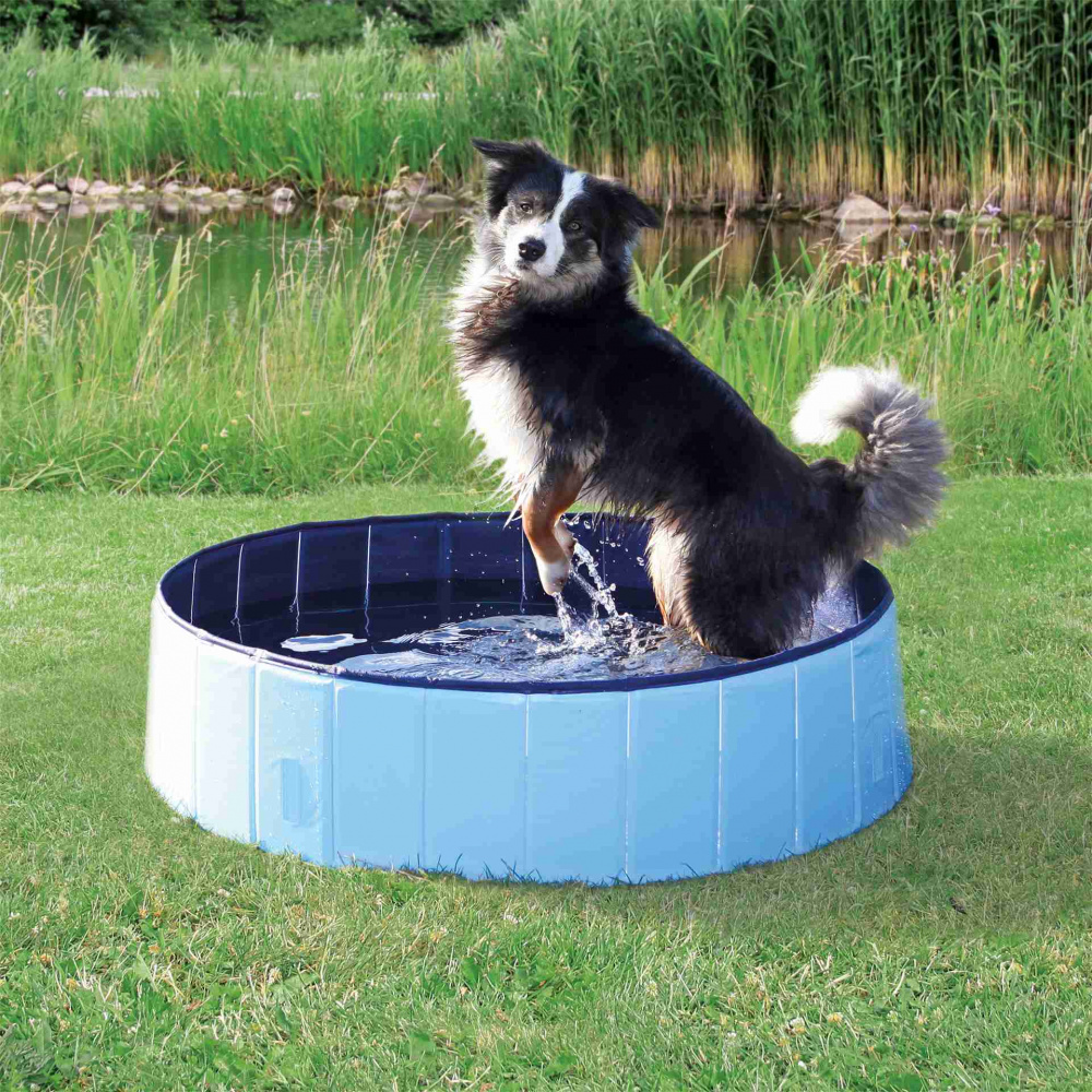 Trixie piscina pentru caini