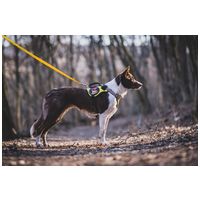 Yutipet RnD párnázott biztonsági kutyahám (Piros) #7