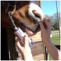 Omnimatrix sebfertőtlenítő krém a gyors sebgyógyulásért #10