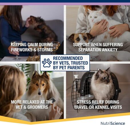 NutriScience Kalm Aid stresszoldó tabletta