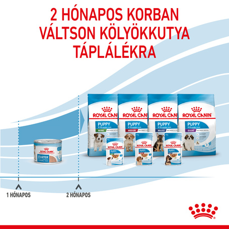 Royal Canin Starter - Kölyök kutya pépes nedves táp