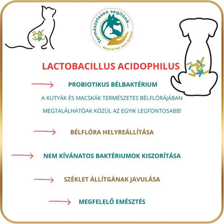 N.P.C.S. Multivitamin macskáknak