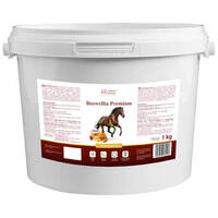 Over Horse Boswellia Premium pentru cai