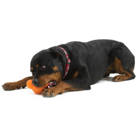 West Paw Tux - Jutalomfalattal tölthető játék #9