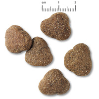 Belcando Junior Lamb & Rice | Bárányhúsos táp normál testméretű növendék kutyáknak #9