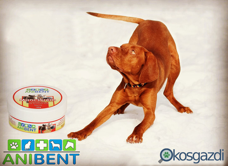 Anibent natúr mancskrém bentonit gyógyiszappal, shea vajjal, aloe verával