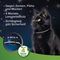 Beaphar gyógynövényes fényvisszaverő nyakörv macskáknak