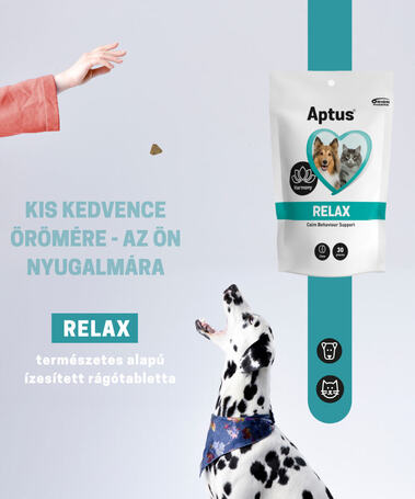 Aptus Relax gyorsan ható nyugtató rágótabletta